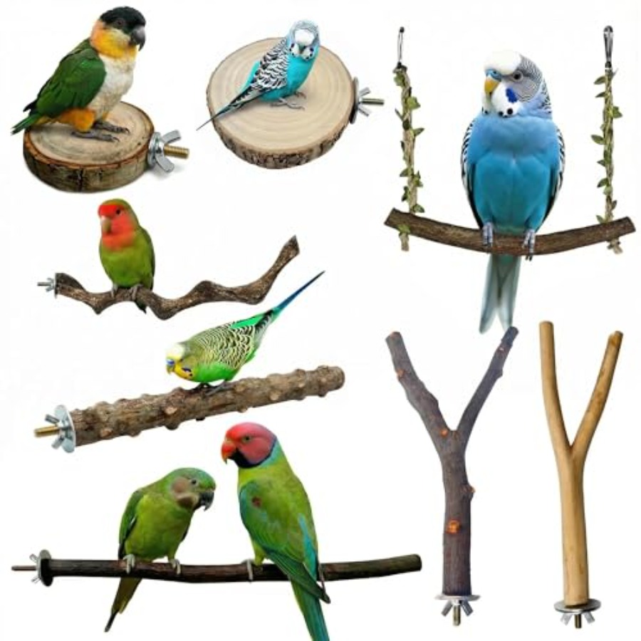 8PCS natural wood bird perches - Health & Wellness U Of T recension och pris