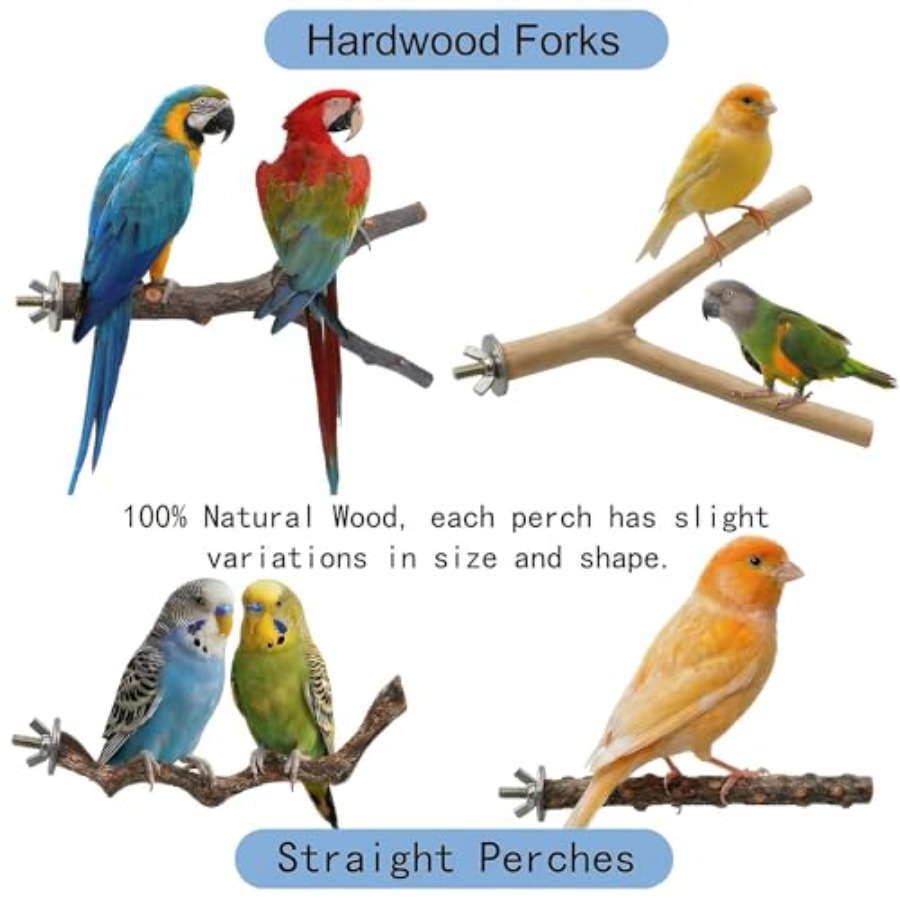 8PCS natural wood bird perches - Health & Wellness U Of T recension och pris